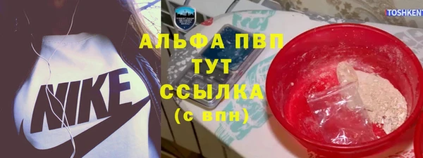 спиды Корсаков