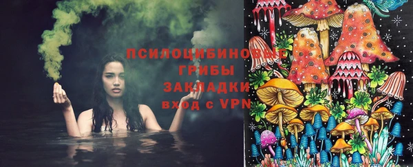 прущая мука Коряжма