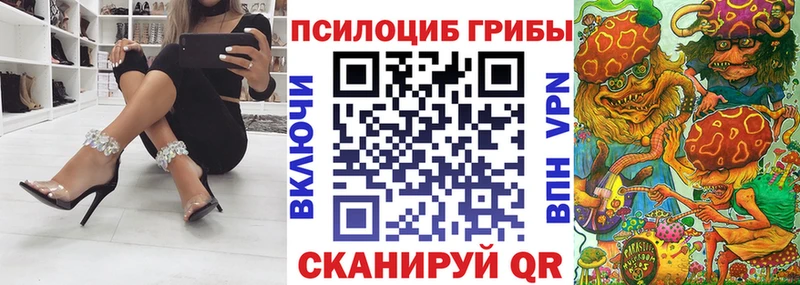 Купить где Вытегра Псилоцибиновые грибы MAGIC MUSHROOMS