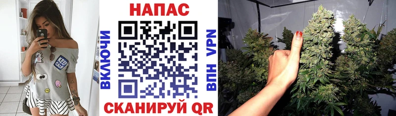 Купить  Вытегра  Марихуана Ganja 